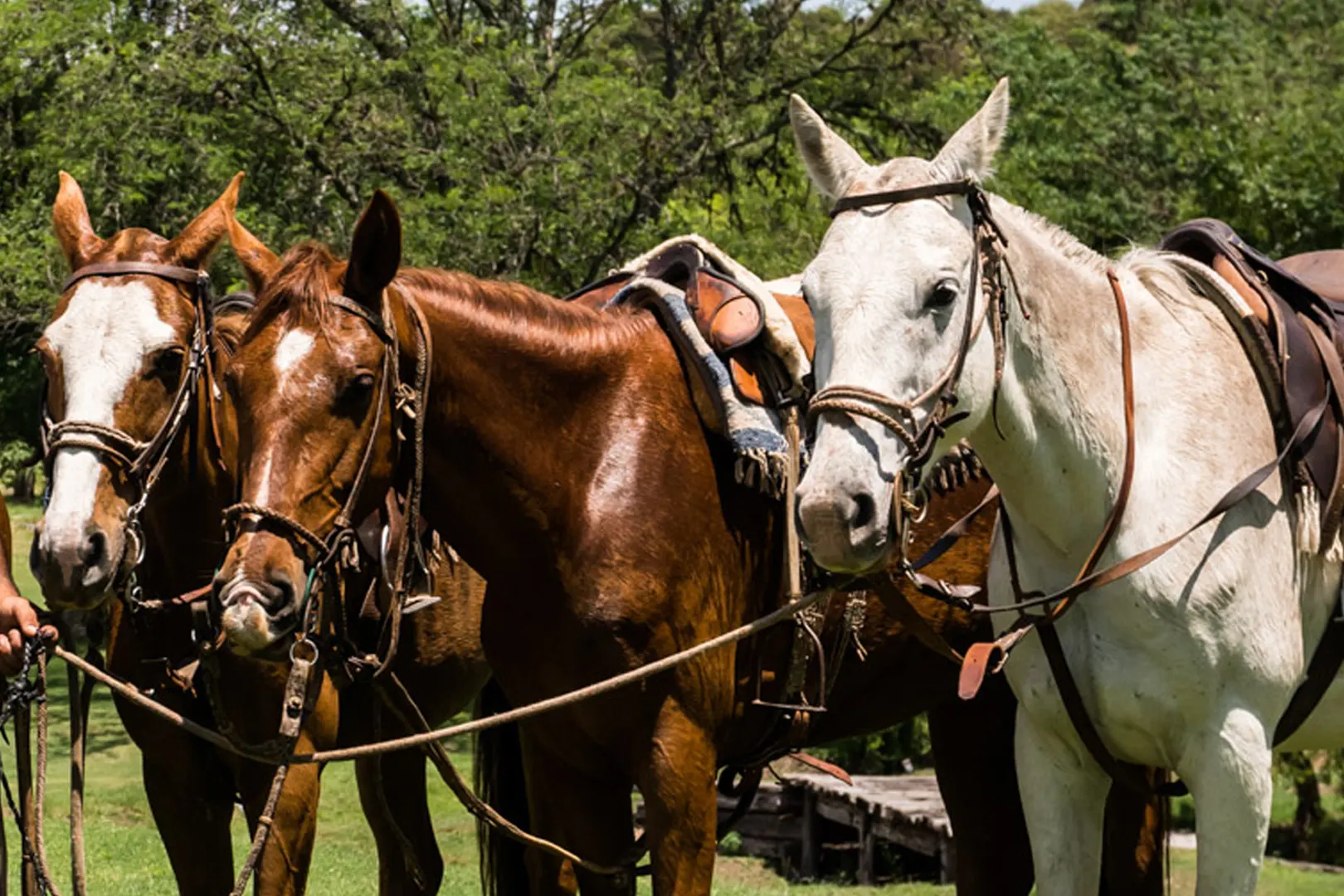 pueblo-nativo-actividades-aire-libre